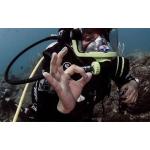 SDI Full Face Mask Diver