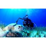 SDI Underwater Photographer Diver