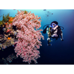 PADI Advance Open Water Diver