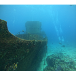 SDI Open Water Certification