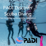 Gift Certificate for Discover Scuba Diving - Ages 10+