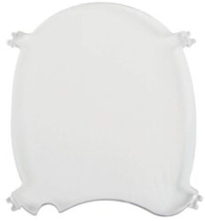 Wisdom Lens Guard