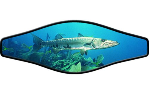 BUCKLE STRAPS - PICTURE