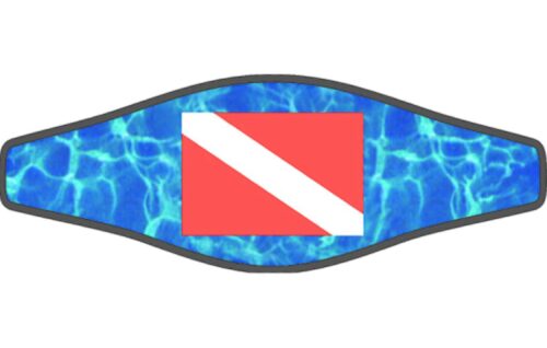 BUCKLE STRAPS - PICTURE