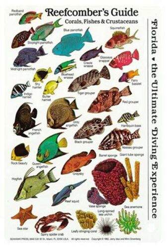 REEFCOMBERS FIELDGUIDE - ID CARD