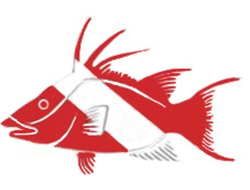 DIECUT STICKER - HOGFISH