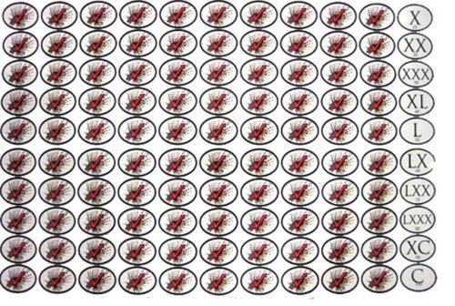 LION FISH KILL STICKERS