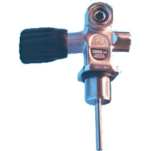 3/4" VALVE W/REMOVABLE INSERT FOR DIN