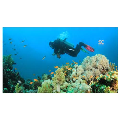 SM MICRO FIBER TOWEL DIVER