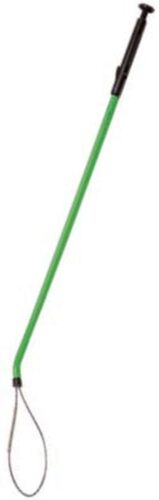 LOBSTER LOOP ' THE GREEN ONE'