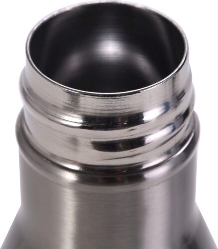 H2O DOUBLE WALL BOTTLE [750 ml] - SILVER