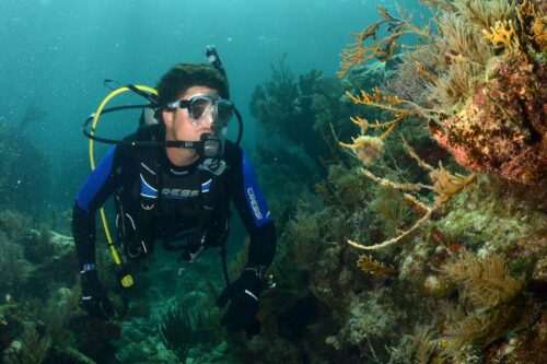 TRAVELIGHT - BLACK/BLUE [XS]