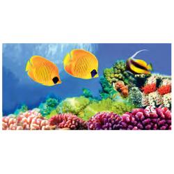 SM MICRO FIBER REEF TOWEL