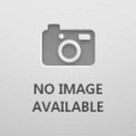 PNEUMATIC GUN SHAFT- CYRANO 50.5'' X 9/32'' - SPRING ST. ST. *EXC