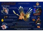 LIONFISH INFESTATION FISH CARD