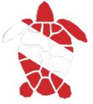 DIECUT STICKER - TURTLE