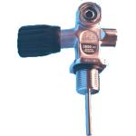 3/4" VALVE W/REMOVABLE INSERT FOR DIN