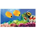 SM MICRO FIBER REEF TOWEL