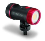 Sea Dragon 2500F COB LED Photo-Video Light Kit (Includes Grip, Si