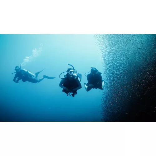 eLearning Deep Diver