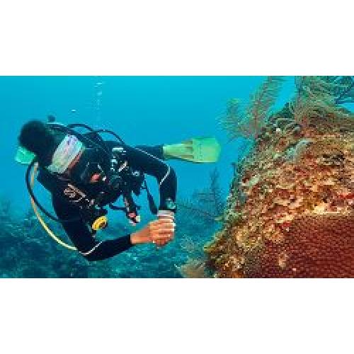 eLearning - Underwater Naturalist