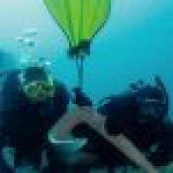 eLearning - Search & Recovery Diver