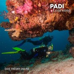 eLearning - Dive Theory