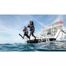 eLearning - Boat Diver