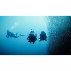 eLearning Deep Diver
