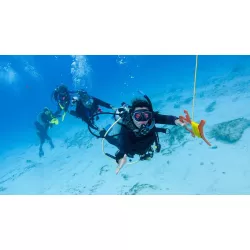 eLearning - Drift Diver
