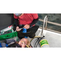 eLearning - Emergency Oxygen Provider