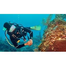 eLearning - Underwater Naturalist