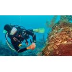 eLearning - Underwater Naturalist