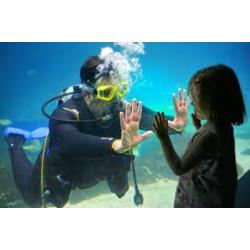 Aquarium Dive