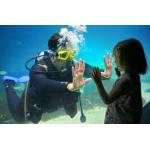 Aquarium Dive