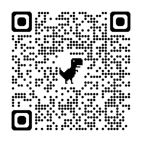 Synergy 2 Mirrored Lens - Black/Silver - Black Skirt