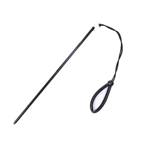 SCUBA Diving Pointer