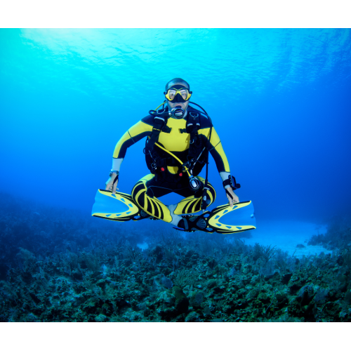 Divemaster Digital Crew-Pak w/ Slates, Pro Bag