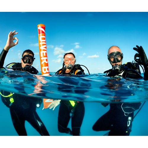 PADI Rescue Diver eLearning