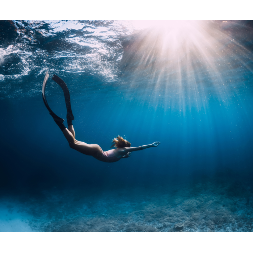 Freediver eLearning