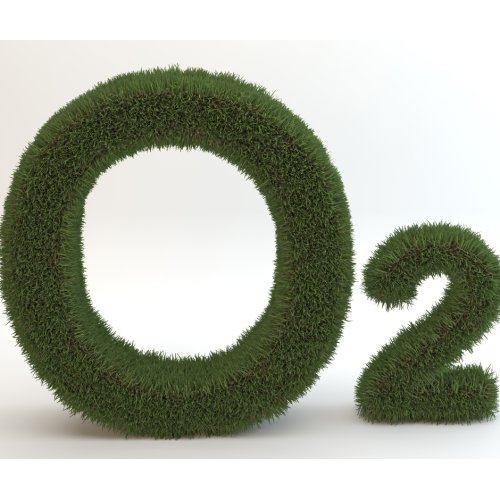 Emergency Oxygen Provider eLearning