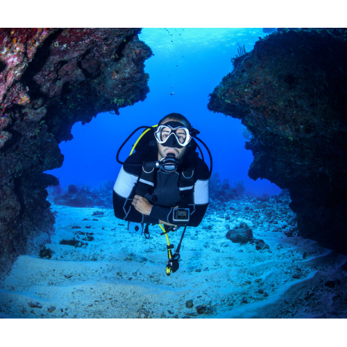 Search & Recovery Diver eLearning (includes Processing fee)