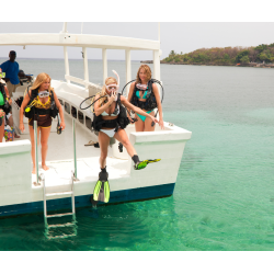 Boat Diver eLearning (includes Processing fee)