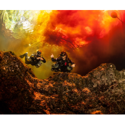 Tec 50 eLearning Crew Pak