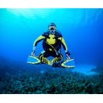 Divemaster Digital Crew-Pak w/ Slates, Pro Bag