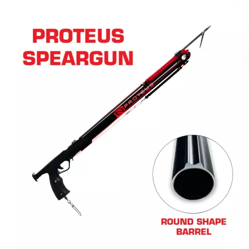 Proteus BASIC