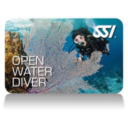 Open Water Diver Course