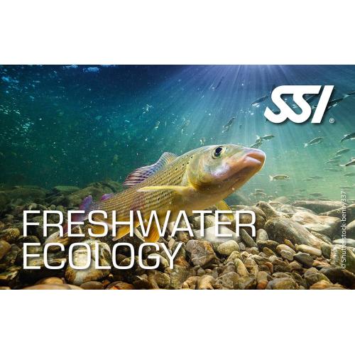 Fresh Water Ecology Kit