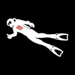 SSI Scuba Diver Course