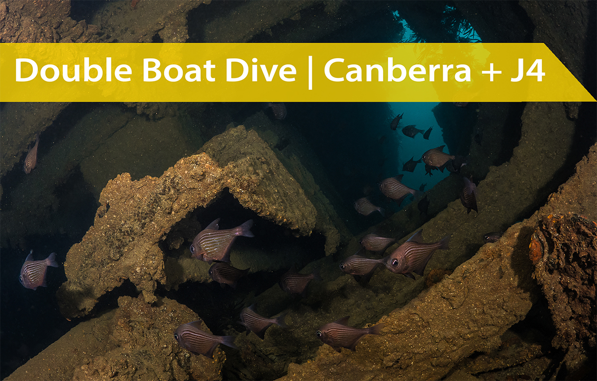 Sunday 30th November | Canberra & J4 Double Wreck Dive